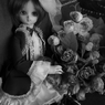 IMGP1090