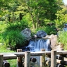 涼を求めて
