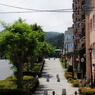 函館#16