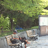 Lives in the Park Vol,1　11