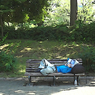 Lives in the Park Vol,1　14
