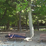 Lives in the Park Vol,1　17