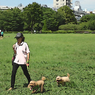 Lives in the Park Vol,2 07