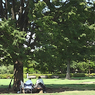 Lives in the Park Vol,2 08