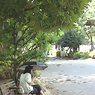 Lives in the Park Vol,2 11