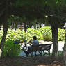 Lives in the Park Vol,2 12