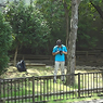 Lives in the Park Vol,3 04