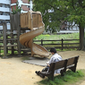 Lives in the Park Vol,3 16