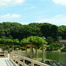 お伝い橋