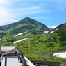 夏は天国