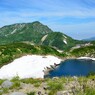 立山の夏