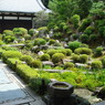 東福寺