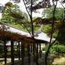 東福寺