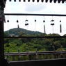清水寺　千日参り