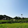 五稜郭公園にて7