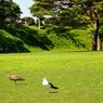 五稜郭公園にて10