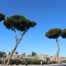 Circo Massimo