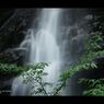 残暑お見舞
