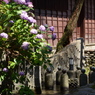 水の小径