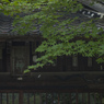 なつたび46