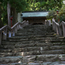IMGP0596