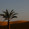 Desert Resort 2012 Summer_13