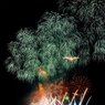 長岡花火大会2012_1-DSC00663