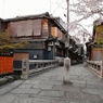 京都 祇園　桜