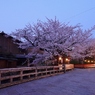 京都 祇園　桜