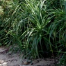 IMGP0649-1