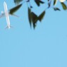 2012 summer 日常風景20