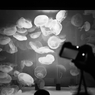 Sea Paradise #06