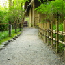 続く道