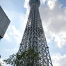 光る空に伸びるスカイツリー