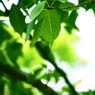 2012 summer 日常風景28