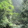 高千穂-5