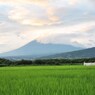 緑ジュータンと頭隠す富士