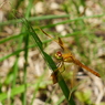 P1110495