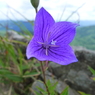P1110584