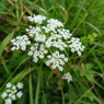 P1110599