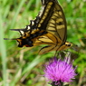 P1110641
