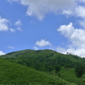2012/8/26 深入山