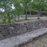 宮島の鹿