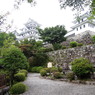 郡上八幡城