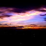 VIVID