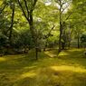 苔に覆われた銀閣寺の庭