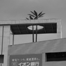 屋根を突き抜ける木