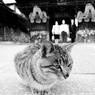 タイムスリップ