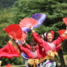 あっぱれ祭り(よさこい①)