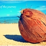 End of the journey